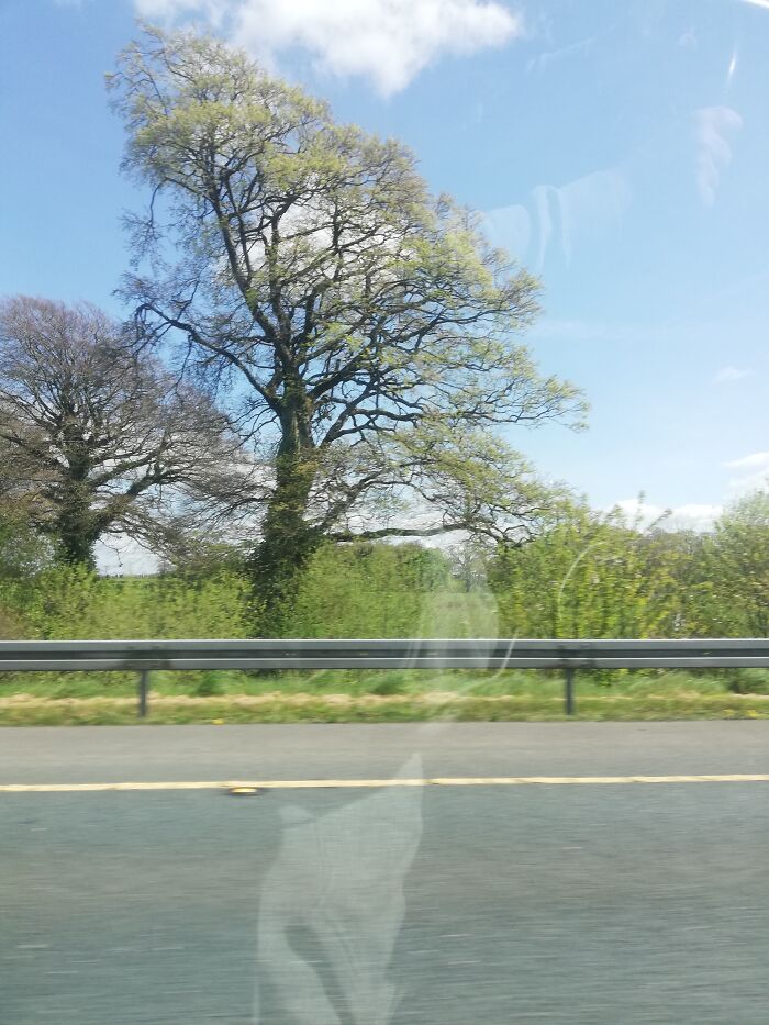 Do Car Windows Count? :)