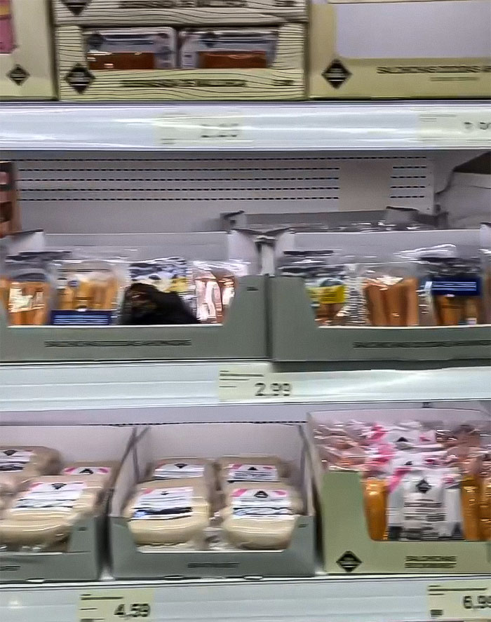 Joey Swoll Gets Woman Thrown Out Of Country For “Disgusting” Act In The Grocery Store Joey Swoll Gets Woman Thrown Out Of Country For “Disgusting” Act In The Grocery Store