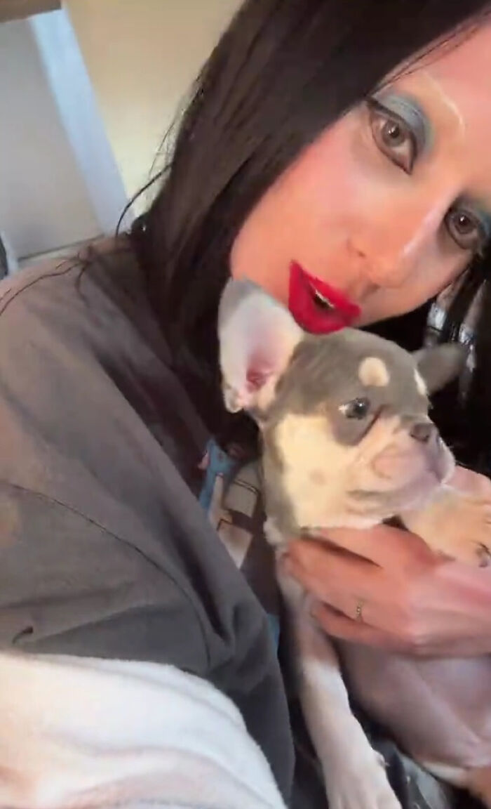 Lady Gaga Introduces New Pup Three Years After "Violent" Dognapping Horror Lady Gaga Introduces New Pup Three Years After "Violent" Dognapping Horror
