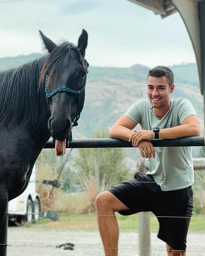 A Special Bond Between A Rescue Horse And His Owner’s Fiancé Is Melting Hearts On The Internet A Special Bond Between A Rescue Horse And His Owner’s Fiancé Is Melting Hearts On The Internet