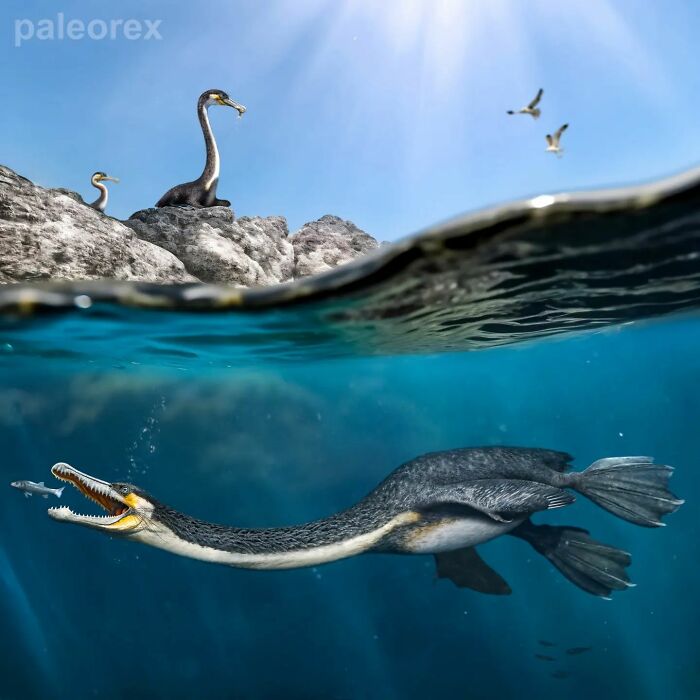 Speculative Evolution Of Animals Millions Of Years From Now By Paleorex Speculative Evolution Of Animals Millions Of Years From Now By Paleorex
