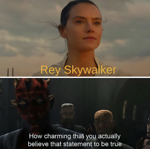 Rey Skywalker meme with text: "How charming that you actually believe that statement to be true."
