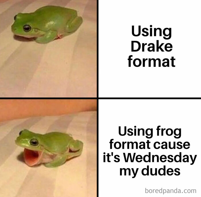 Wednesday Riddles Meme 30 Wednesday Memes For A Midweek Mood Boost | Bored Panda