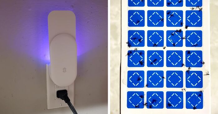 Amazon Just Dropped These 20 New Products, And We’re Obsessed