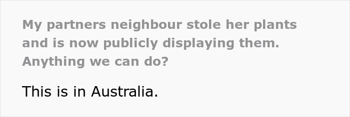 “We Called The Police”: Newcomer Discovers Her Bench And Plants Displayed In Neighbors’ Yard “We Called The Police”: Newcomer Discovers Her Bench And Plants Displayed In Neighbors’ Yard