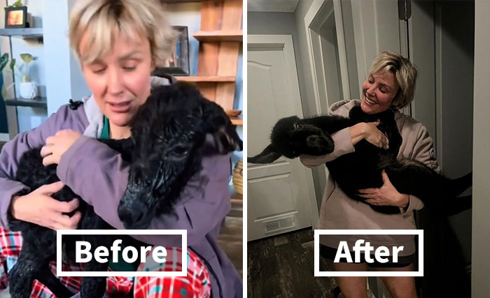 This Couple Rescued A Donkey From His Violent Mom And Now He Lives As A Beloved House Pet