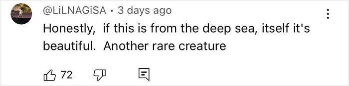 “Bad Omen”: Rare Sea Serpent Surfaces In San Diego Waters, Linked To Earthquake Legend “Bad Omen”: Rare Sea Serpent Surfaces In San Diego Waters, Linked To Earthquake Legend