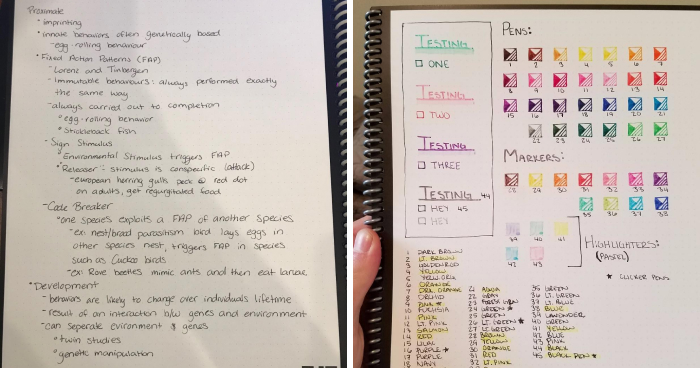 21 Office Finds That Go From Campus To Corporate Without Losing Their Charm