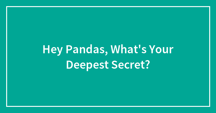 Hey Pandas, What’s Your Deepest Secret? (Closed)