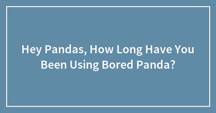 Hey Pandas, How Long Have You Been Using Bored Panda? (Closed)