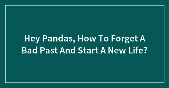 Hey Pandas, How To Forget A Bad Past And Start A New Life? (Closed)