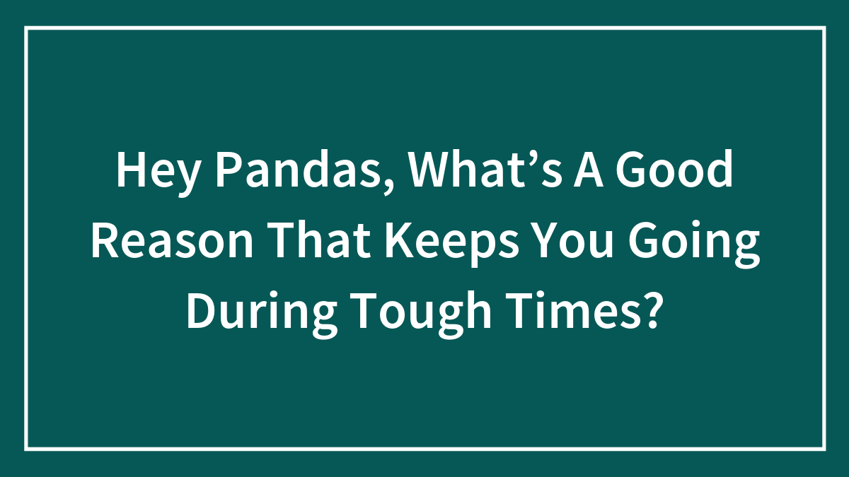 Hey Pandas, What’s A Good Reason That Keeps You Going During Tough Times? (Closed)