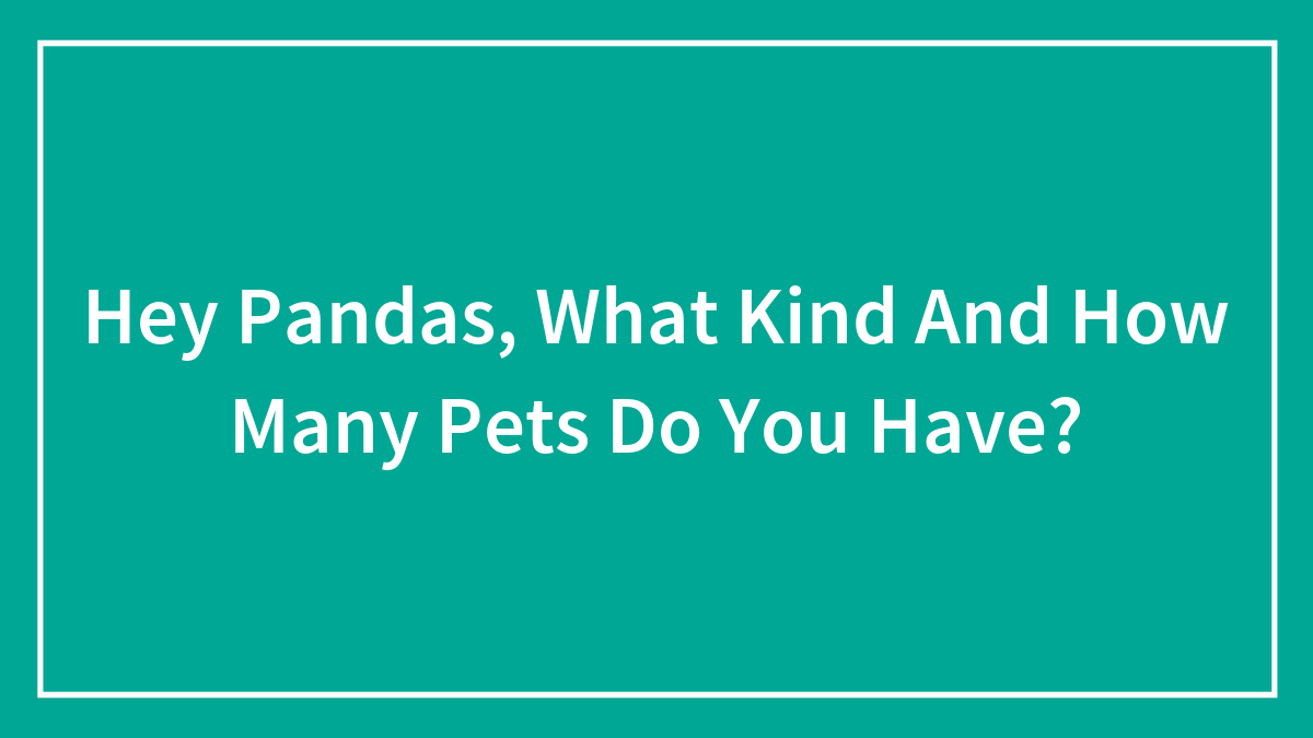 Hey Pandas, What Kind And How Many Pets Do You Have? (Closed)