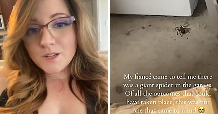 Woman Hits Massive Spider With Map—It Then Releases All Its Babies On Garage Floor