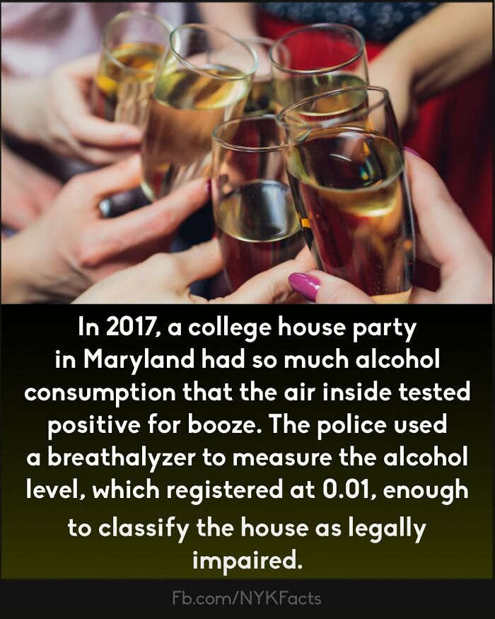 Curious-Facts-Now-You-Know