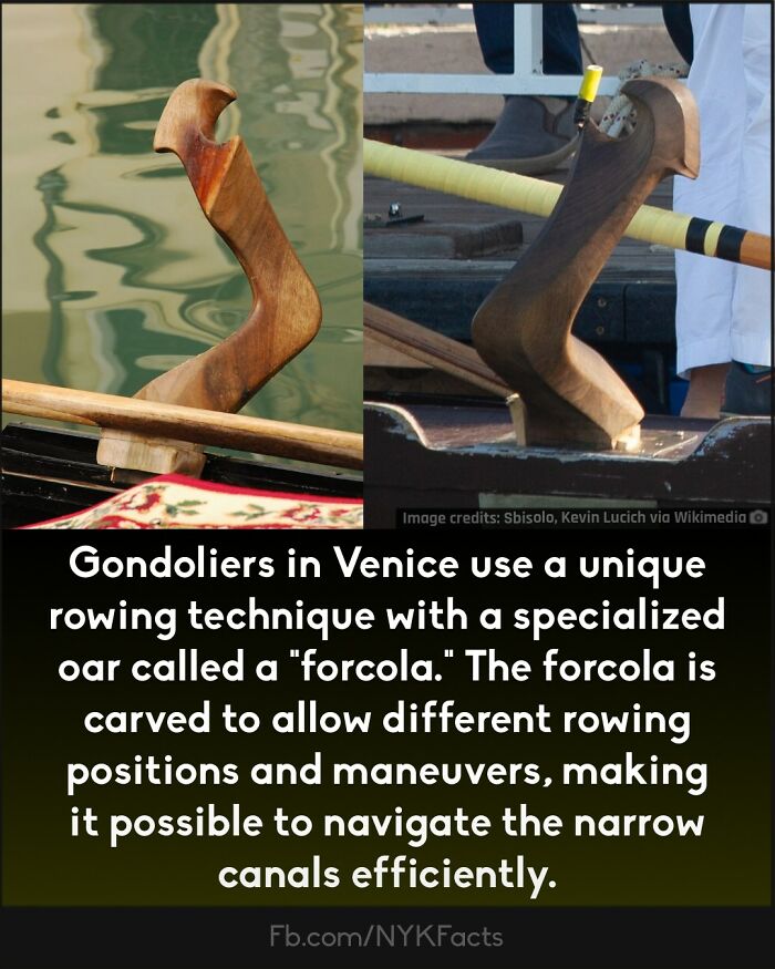 Curious-Facts-Now-You-Know