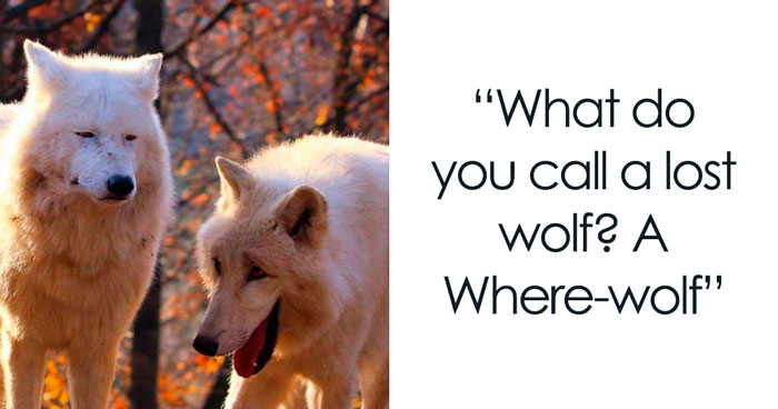 310 Dad Jokes That Will Make You Question Your Sense Of Humor