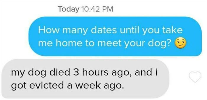 Her Profile Said "Looking For Someone To Bring Home To Meet My Dog". Where Do I Go From Here?