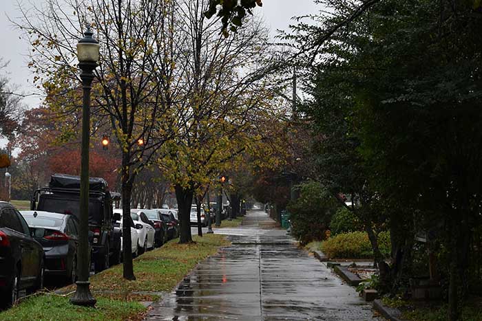 Neighbor Leaves Car Blocking Person’s Driveway, They Stand Back And Let Nature Take Revenge Neighbor Leaves Car Blocking Person’s Driveway, They Stand Back And Let Nature Take Revenge