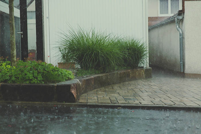 Neighbor Leaves Car Blocking Person’s Driveway, They Stand Back And Let Nature Take Revenge Neighbor Leaves Car Blocking Person’s Driveway, They Stand Back And Let Nature Take Revenge