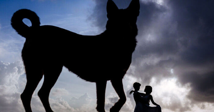 7 Unusual Ways That I Included The Color Blue In Wedding Photography