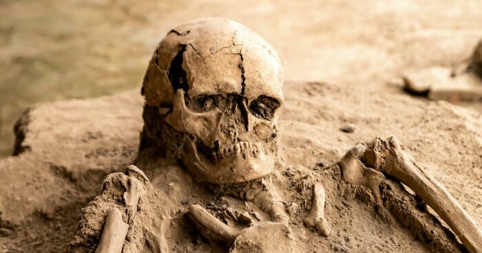 Cleaners Hired By Homeowner Discover Decomposed Remains Of Mother Who Vanished 10 Years Ago