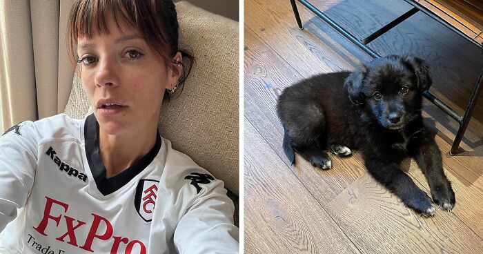 Lily Allen Says She Returned “F—ing” Puppy For Eating Family’s Passports: “[It] Ruined My Life”