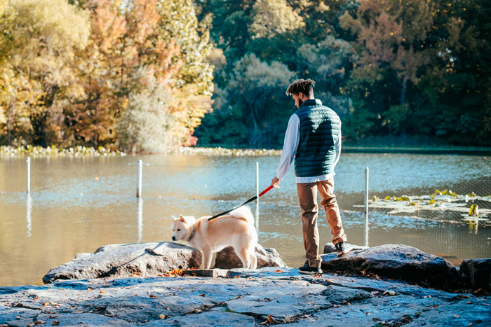 Dog Owner Schemes To Lure Fish Away From Boomers’ Fishing Zone After They Mess Up The Dog Pond Dog Owner Schemes To Lure Fish Away From Boomers’ Fishing Zone After They Mess Up The Dog Pond