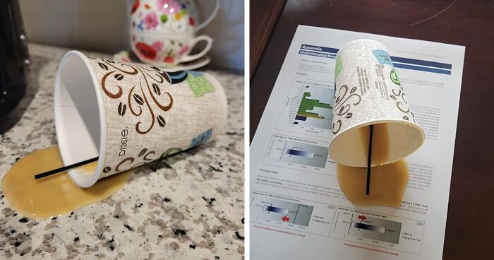 21 Things To Prove The Internet Is The Weirdest Place On Earth