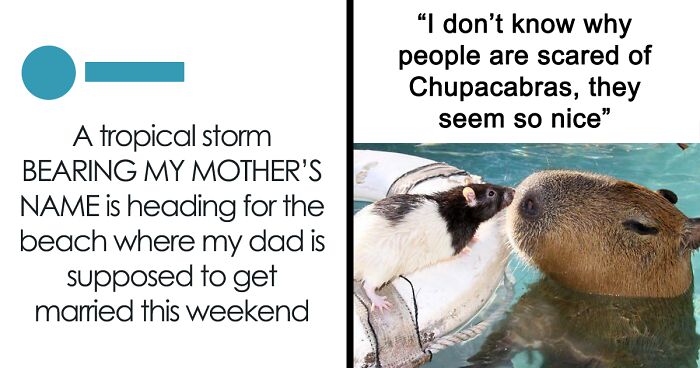 50 Funniest Memes From An IG Page That Has 1.3M People Laughing