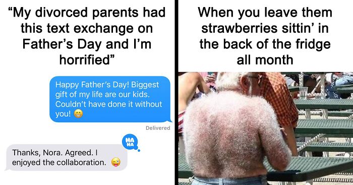 50 Funny And Random Memes To Brighten Your Day