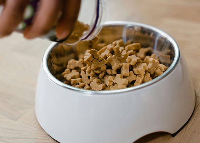 Woman Stops Talking To Mom Who Chose To Babysit Her Grandson Instead Of Watching Her Dogs Woman Stops Talking To Mom Who Chose To Babysit Her Grandson Instead Of Watching Her Dogs