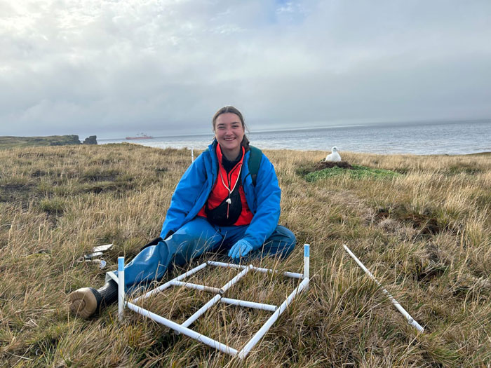 Officials Decide To Drop 600 Tons Of Pesticide On Island To Save Birds From Being Eaten Alive Officials Decide To Drop 600 Tons Of Pesticide On Island To Save Birds From Being Eaten Alive