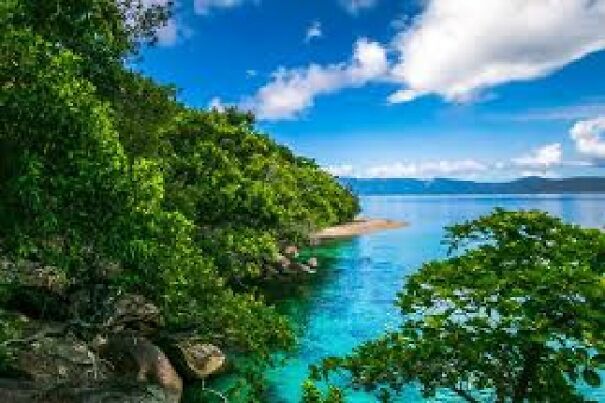 The First Chapter Of The Islanders! The First Chapter Of The Islanders!