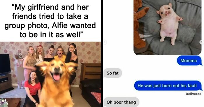 50 Heartwarming Posts To Combat The Negativity Of The World