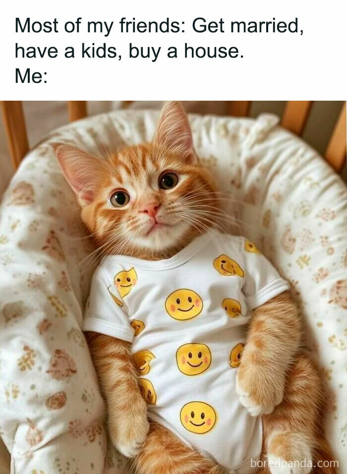 Feline Style Memes