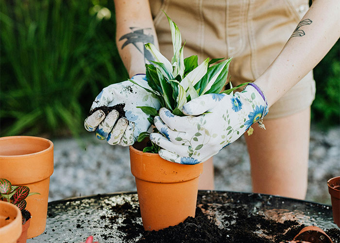 “We Called The Police”: Newcomer Discovers Her Bench And Plants Displayed In Neighbors’ Yard “We Called The Police”: Newcomer Discovers Her Bench And Plants Displayed In Neighbors’ Yard