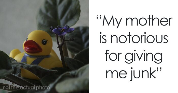 Guy Hides 200 Ducks In His Mom’s House To Get Back At Her For Junk, His “Revenge” Backfires