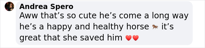 A Special Bond Between A Rescue Horse And His Owner’s Fiancé Is Melting Hearts On The Internet A Special Bond Between A Rescue Horse And His Owner’s Fiancé Is Melting Hearts On The Internet