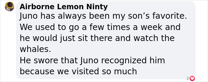 Adorable Video Of Beluga Whale’s Interaction With Boy Goes Viral, People Can’t Get Enough Of It Adorable Video Of Beluga Whale’s Interaction With Boy Goes Viral, People Can’t Get Enough Of It