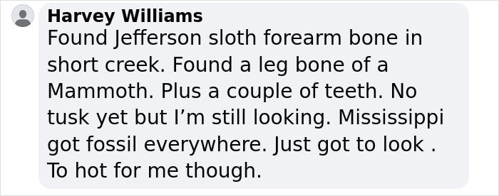 Man Goes Viral Online After His Exploration Walk Turns Into A Massive Mammoth Tusk Discovery Man Goes Viral Online After His Exploration Walk Turns Into A Massive Mammoth Tusk Discovery