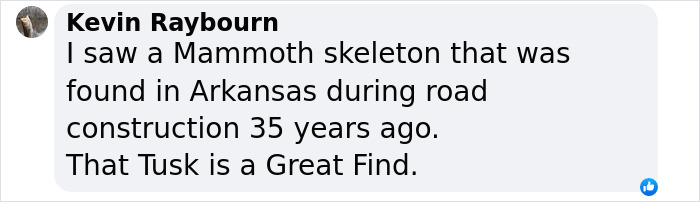 Man Goes Viral Online After His Exploration Walk Turns Into A Massive Mammoth Tusk Discovery Man Goes Viral Online After His Exploration Walk Turns Into A Massive Mammoth Tusk Discovery