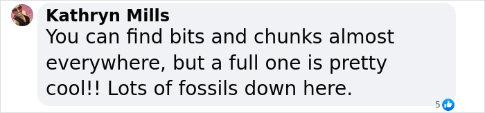 Man Goes Viral Online After His Exploration Walk Turns Into A Massive Mammoth Tusk Discovery Man Goes Viral Online After His Exploration Walk Turns Into A Massive Mammoth Tusk Discovery