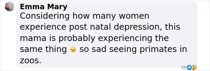 “She Watched Closely”: Moms Unite To Teach Orangutan How To Feed Her Baby At Dublin Zoo “She Watched Closely”: Moms Unite To Teach Orangutan How To Feed Her Baby At Dublin Zoo