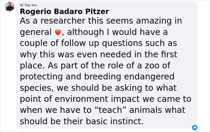 “She Watched Closely”: Moms Unite To Teach Orangutan How To Feed Her Baby At Dublin Zoo “She Watched Closely”: Moms Unite To Teach Orangutan How To Feed Her Baby At Dublin Zoo