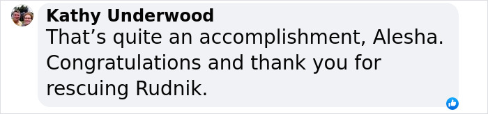 A Special Bond Between A Rescue Horse And His Owner’s Fiancé Is Melting Hearts On The Internet A Special Bond Between A Rescue Horse And His Owner’s Fiancé Is Melting Hearts On The Internet