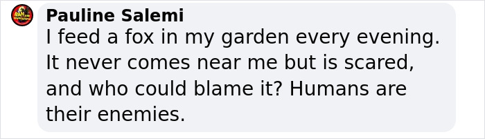 89-Year-Old Grandma Lost For Four Days In Alps Survives After Befriending Wild Fox 89-Year-Old Grandma Lost For Four Days In Alps Survives After Befriending Wild Fox