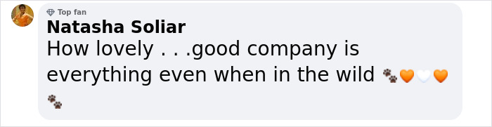 89-Year-Old Grandma Lost For Four Days In Alps Survives After Befriending Wild Fox 89-Year-Old Grandma Lost For Four Days In Alps Survives After Befriending Wild Fox