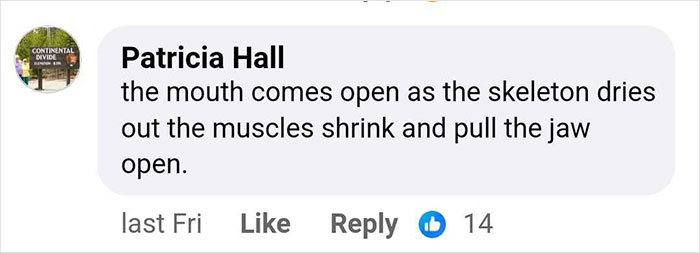 “So Horrible”: Virtual Autopsy Reveals Ancient Egyptian Mummy’s Heart-Wrenching Secret “So Horrible”: Virtual Autopsy Reveals Ancient Egyptian Mummy’s Heart-Wrenching Secret