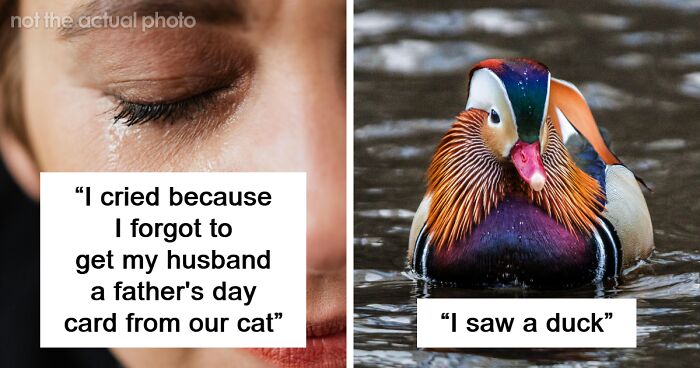 “I Saw A Duck”: 30 Hilariously Trivial Reasons That Made Pregnant Women Bawl